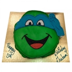Ninja Turtle Designer Cake