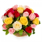 Elegance Mixed Roses