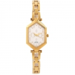 2453YM04 Titan Ladies Watch 